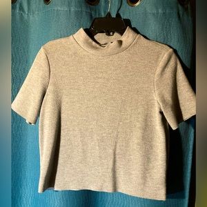 Zara Gray Turtleneck Crop Top